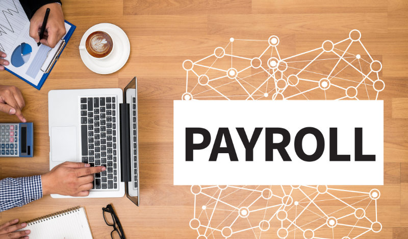 Payroll reports you must know about
